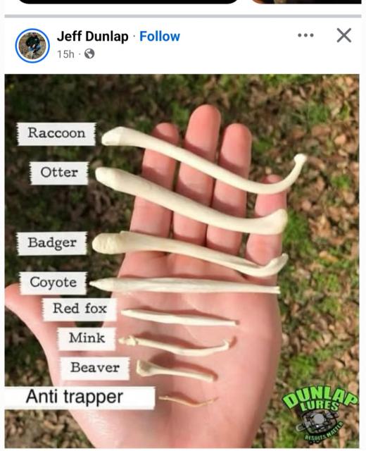 [Linked Image]