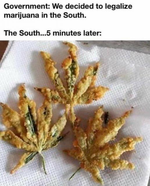 [Linked Image]
