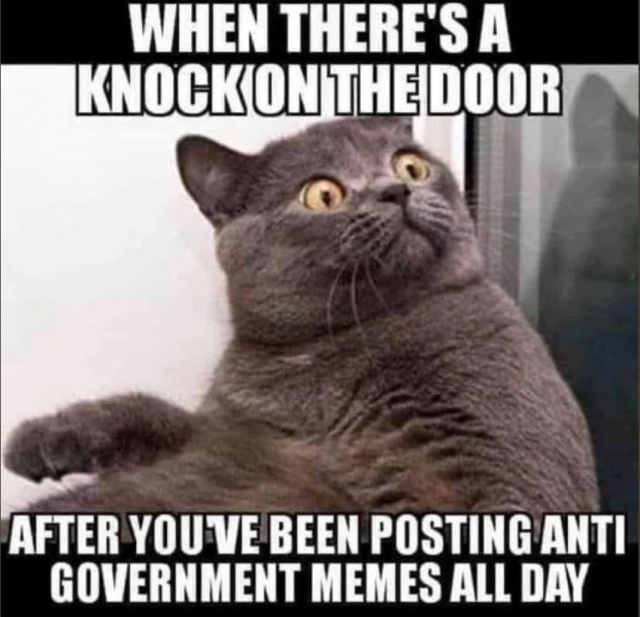 [Linked Image]