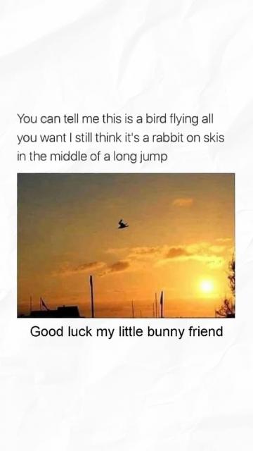 [Linked Image]