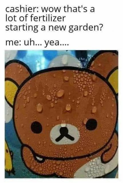[Linked Image]