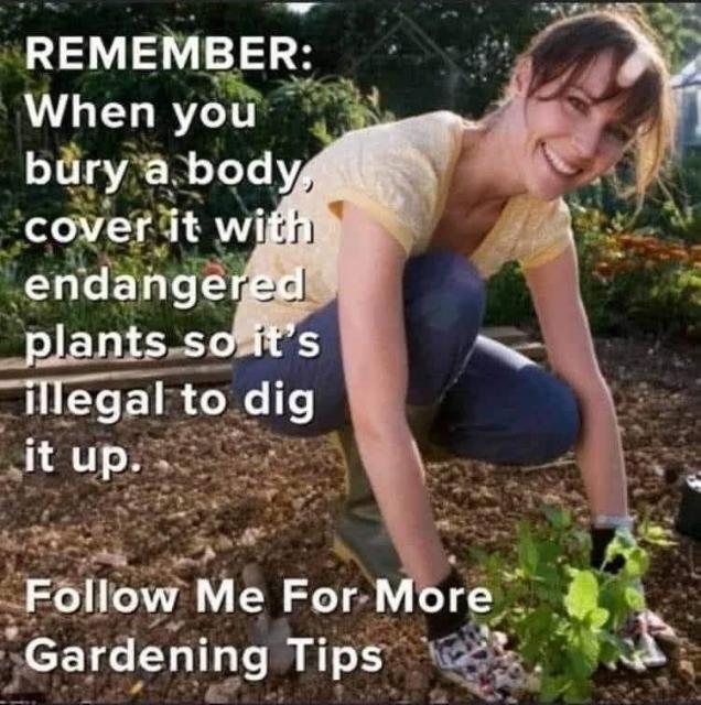 [Linked Image]