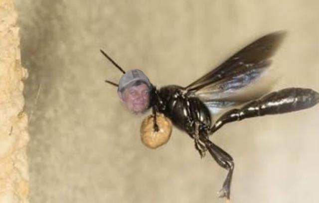 [Linked Image]