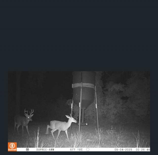 [Linked Image]