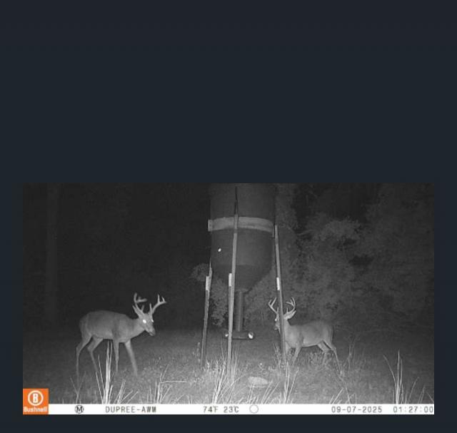 [Linked Image]