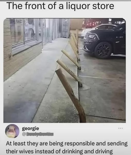 [Linked Image]