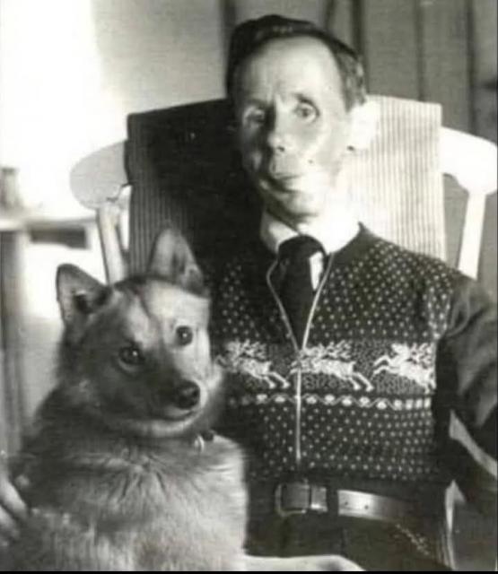 [Linked Image]