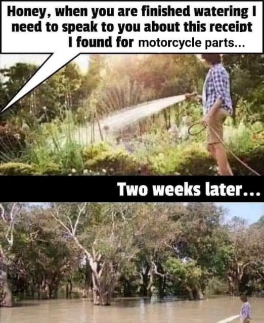 [Linked Image]