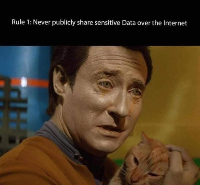 [Linked Image]