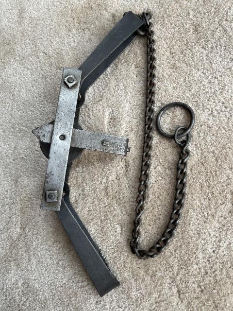 [Linked Image]