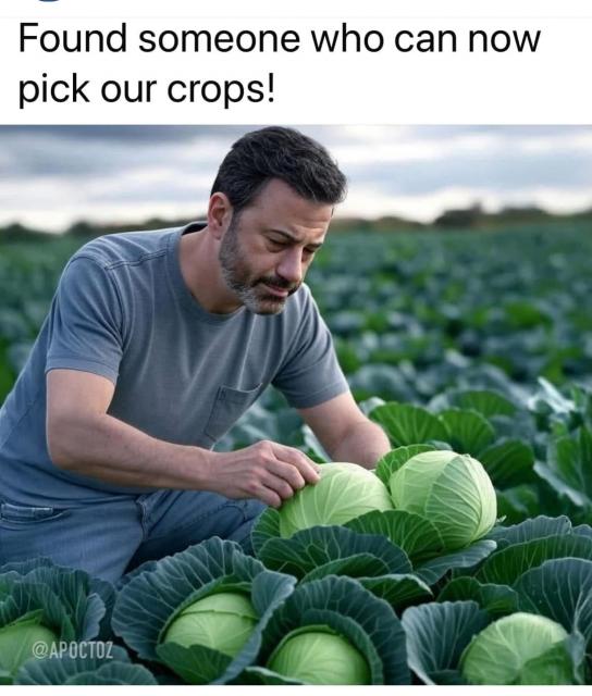 [Linked Image]