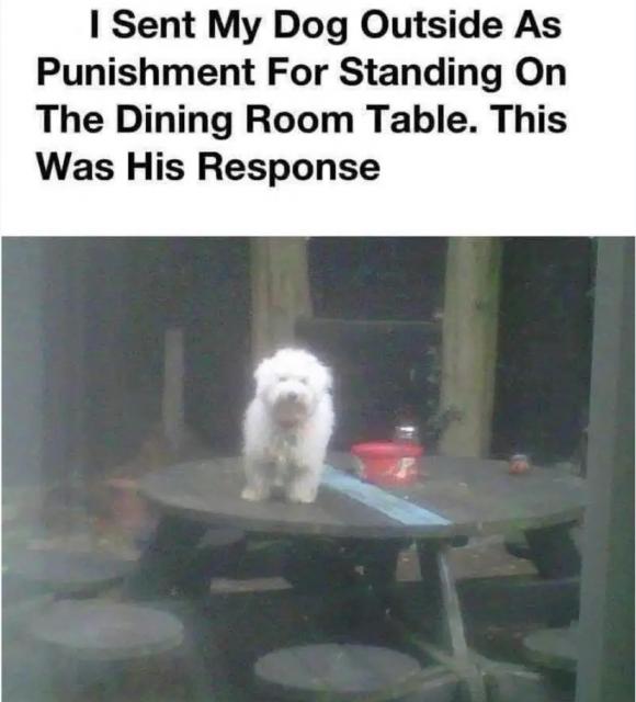 [Linked Image]