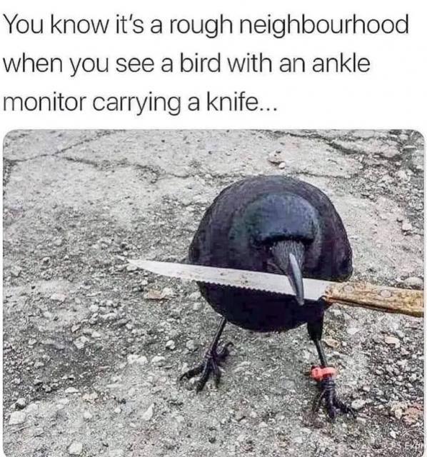 [Linked Image]