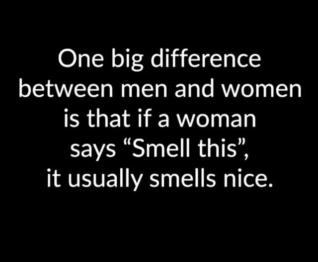 [Linked Image]