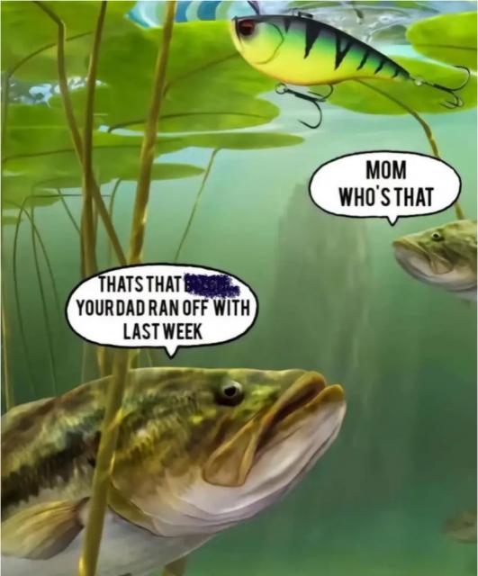 [Linked Image]