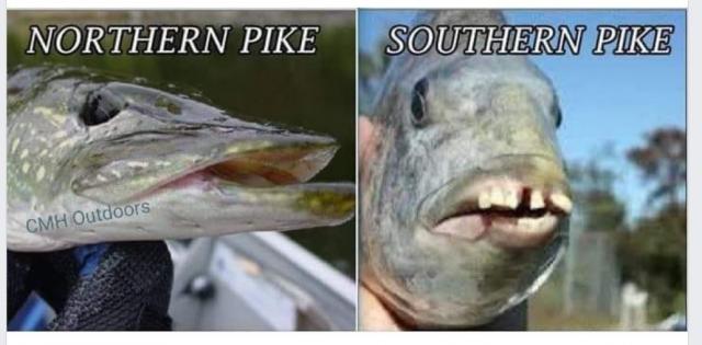 [Linked Image]