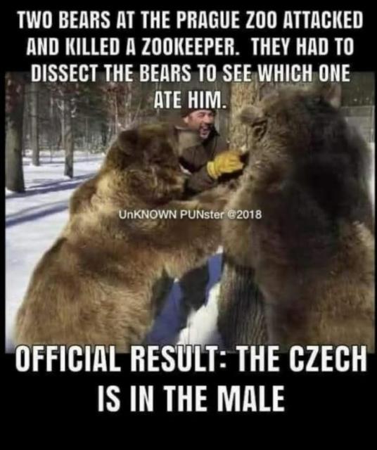 [Linked Image]