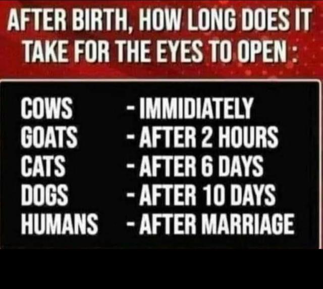 [Linked Image]