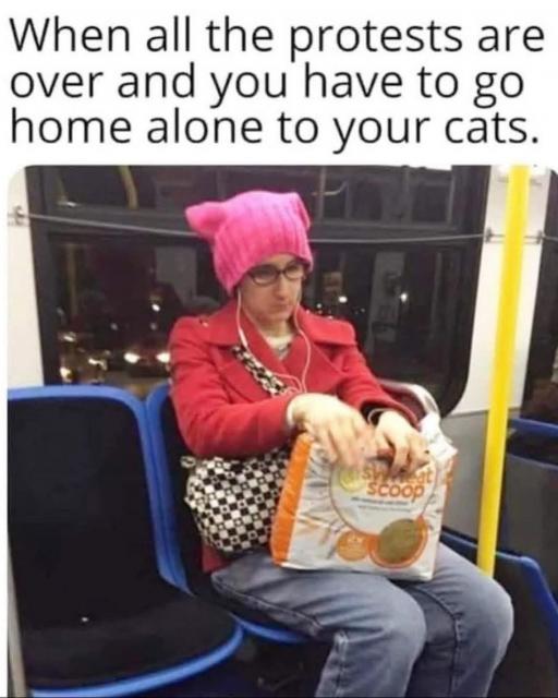 [Linked Image]