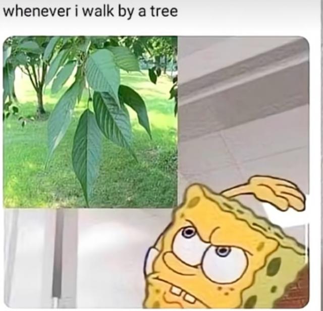 [Linked Image]