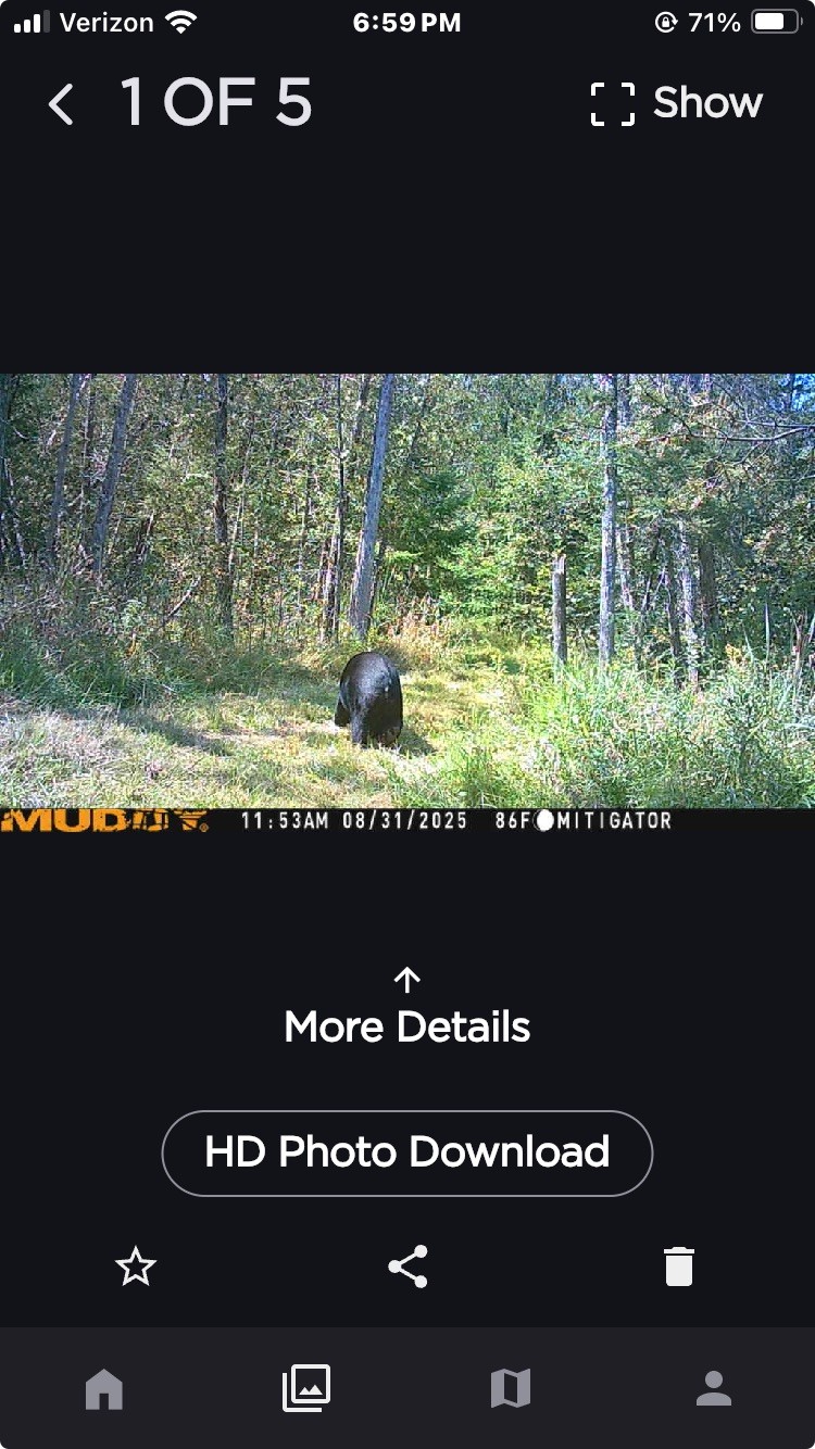 [Linked Image]