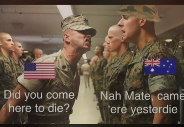 [Linked Image]