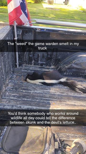 [Linked Image]