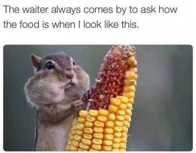 [Linked Image]