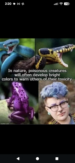 [Linked Image]