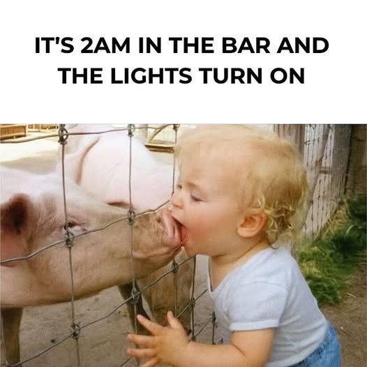 [Linked Image]
