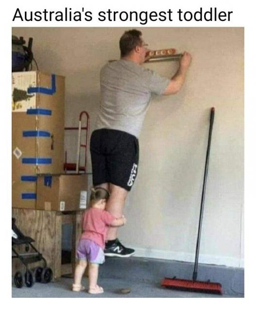 [Linked Image]