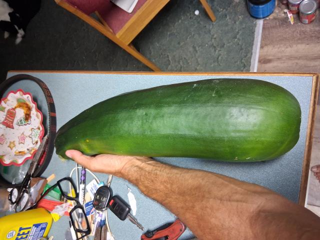 [Linked Image]
