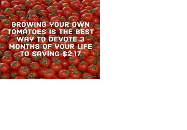 [Linked Image]