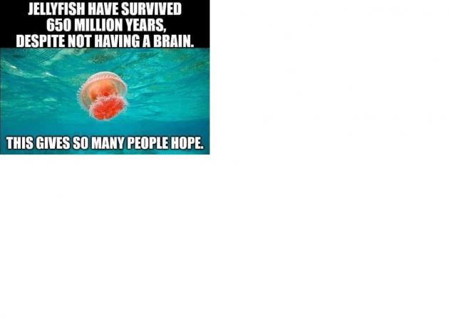 [Linked Image]