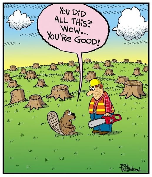 [Linked Image]
