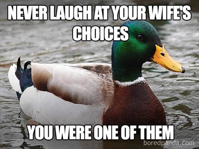 [Linked Image]