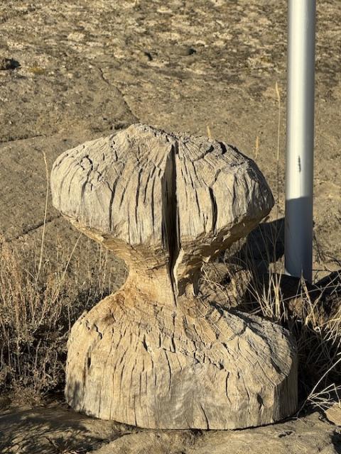 [Linked Image]