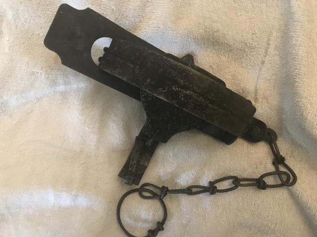 [Linked Image]