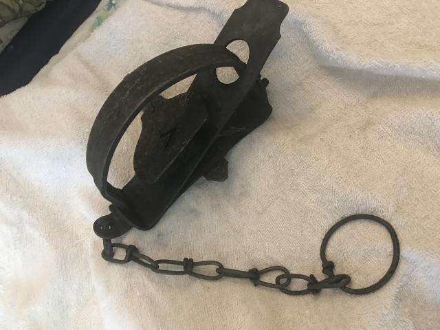 [Linked Image]