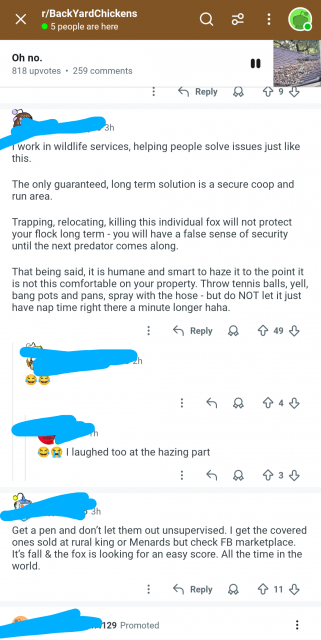 [Linked Image]