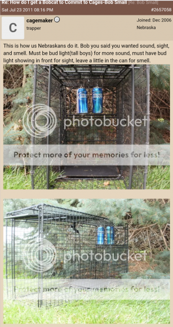 [Linked Image]
