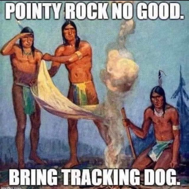[Linked Image]