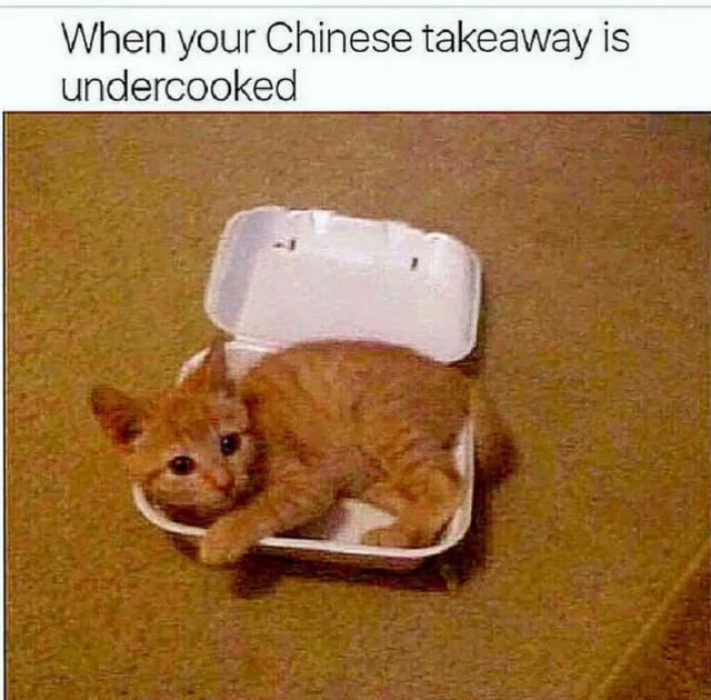 [Linked Image]