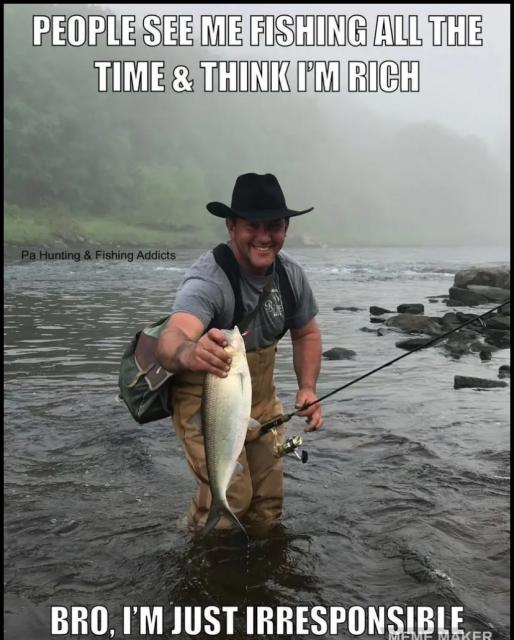 [Linked Image]