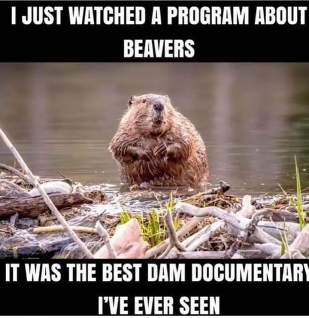 [Linked Image]
