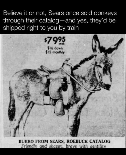 [Linked Image]