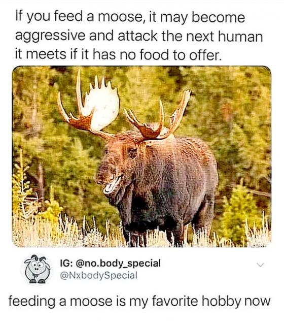 [Linked Image]
