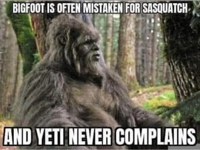 [Linked Image]