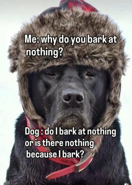[Linked Image]
