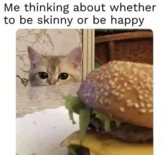 [Linked Image]